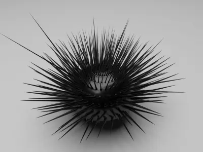Sea Urchin 3D model