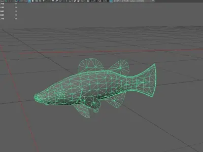 Serranidae Low-poly 3D model 2