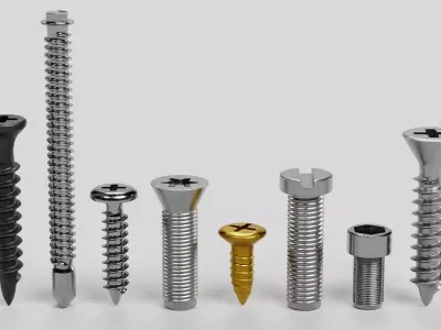 -Screws- 3D model