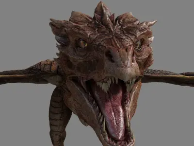 Dragon 3D model 13