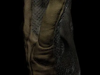 Military tactical glove  Low-poly 3D model