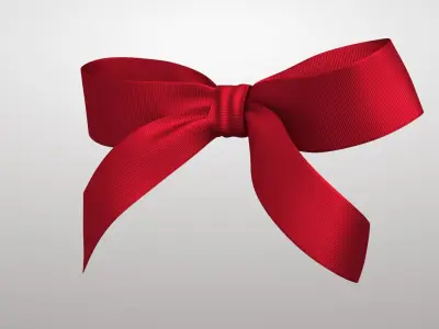 Gift Bow 2v PBR 3D model