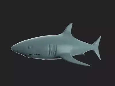 The Shark 3D model