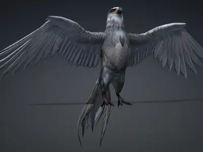 Hawk-A2 3D model
