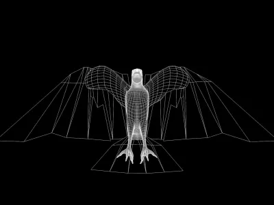 White Headed Eagle 3D model