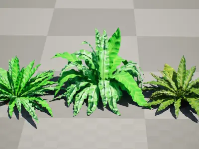 Bird Nest Fern 3D Model Low-poly 3D model