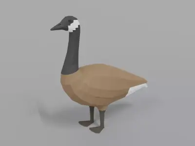 Low Poly Cartoon Canada Goose Low-poly 3D model