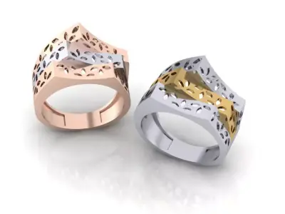 2 part gold ring  3D print model
