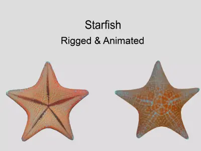 Starfish Low-poly 3D model 2