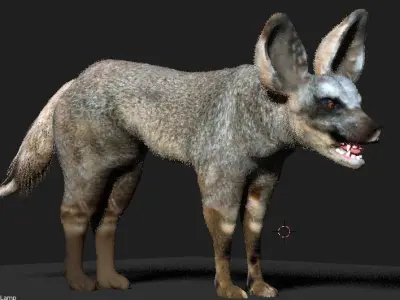 bat eared fox 3D model