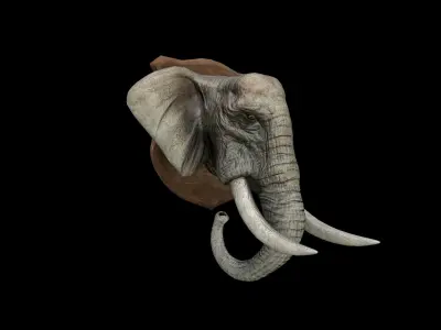 Elephant Head - PBR - Textured Low-poly 3D model