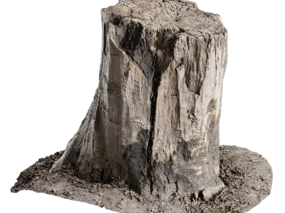  Medium Burned Cut Deciduous Stump Model 