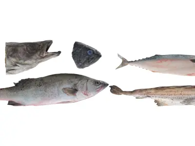 Seafood Shops Pack 02 3D model