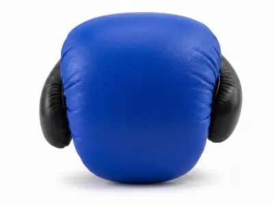 Professional Blue and Black Boxing Training Glove Low-poly 3D model