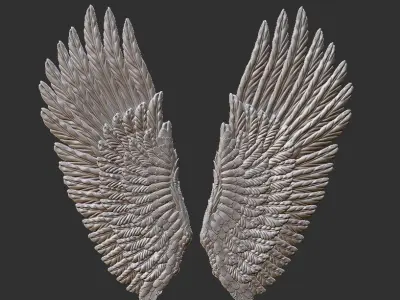 wing douple sided carved 3D print model