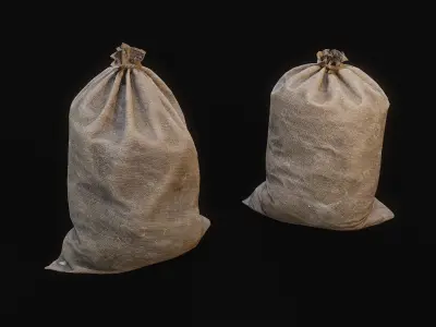 Sacks Low-poly 3D model purchase