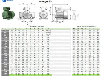 315L B3 Left 2 Pole IEC electric motor - 3D CAD model 3D model
