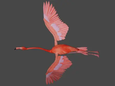 Flamingo flying Low-poly 3D model