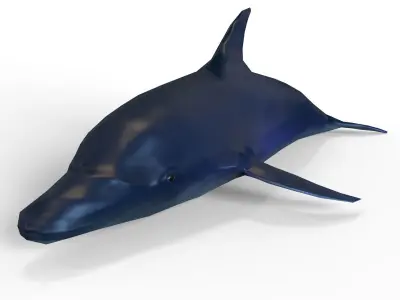 Dolphin game ready Low-poly 3D model