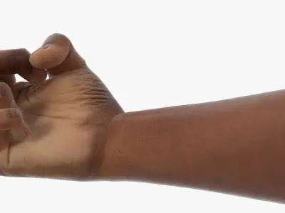 Black Male Hand Pair with Middle Finger Gesture 3D model