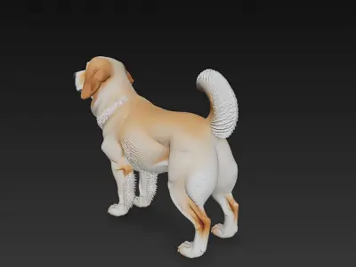 Dog Realistic 3D Model - Low Poly Realistic  Low-poly 3D model