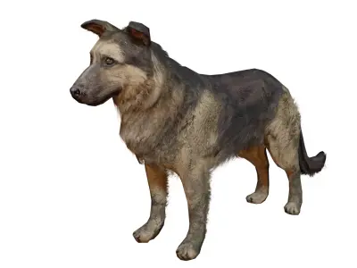 Low Poly Dog last of us Low-poly 3D model