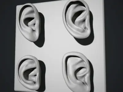 Ear Set 3D model