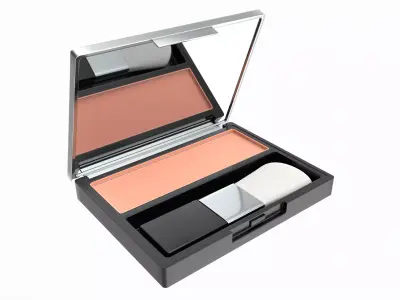 Blushing Powder 3D model