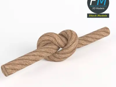 Generic tied knot 3D model