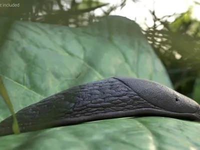  Slug on Foliage Leaf For Blender 