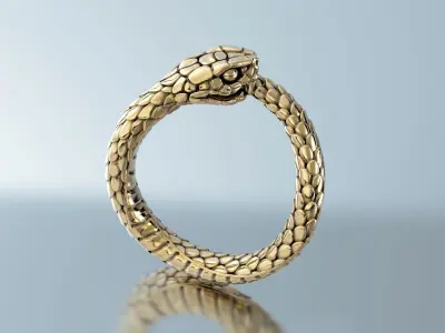 Ring Snake Ouroboros 3D print model