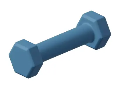 Plastic Hexagonal Dumbbell 3D model