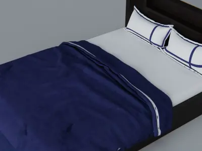 King Sized Bed with Pair of Pillow 3D model