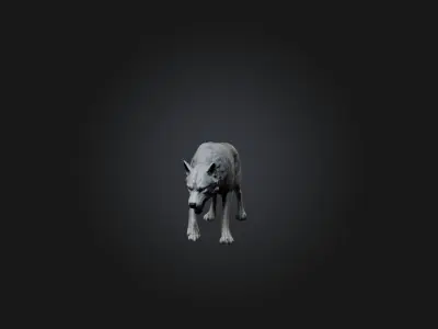 Realistic Wolf Modell Low-poly 3D model