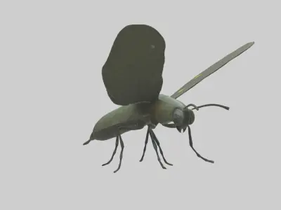 Firefly Model Low-poly 3D model