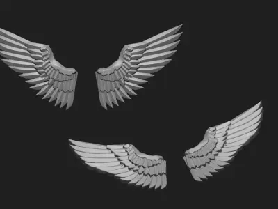 wings03 3D model