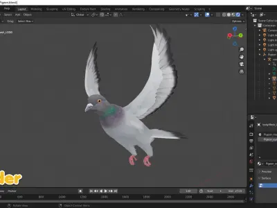 Realistic Animated Rock Pigeon Low-poly 3D model