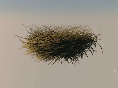 Bird Nest 3D model 4