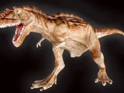 Tyrannosaurus Rex roaring  Low-poly 3D model