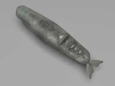 Sperm Whale 3D model 2