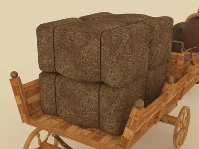 Hay Wagon 3D model