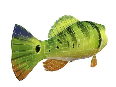 Peacock Bass Fish Cartoon Animated Low-poly 3D model