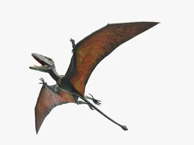 Dimorphodon 3D model