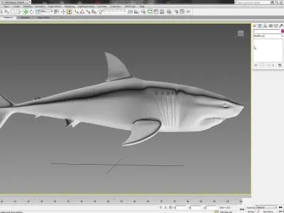 Shark 3D model 5
