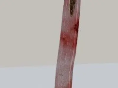 Broadsword sword with blood Free low-poly 3D model