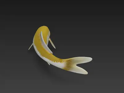Koi Fish 3D Model Basic - Low Poly Simple Low-poly 3D model