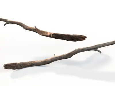  Dry Brushwood Pile Brown 