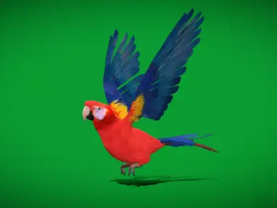 Scarlet Macaw Parrot Bird Free 3D model
