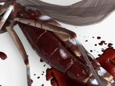  Smashed Mosquito Pest Blood For Blender 