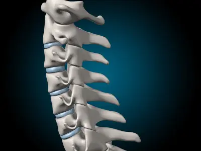  Spine Ultimate 